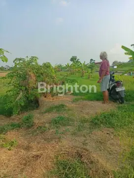 Dijual sawah kering. Status lahan kuning
