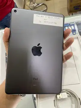 Ipad mini 5 256 gb wifi only ex ibox mulus no minus