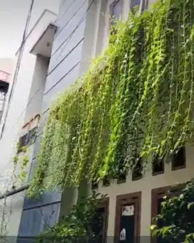 Kamar kost sederhana