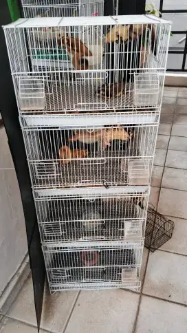Kandang Dayang Sugar Glider
