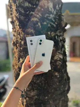 iphone 11 128Gb all operator