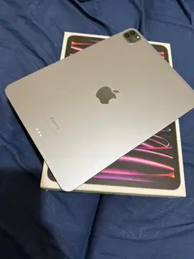 Ipad Pro 11 inch 4th Gen WIFI Grey 128Gb
