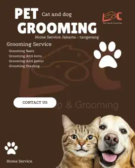 Grooming cat and dog taman sari jakbar