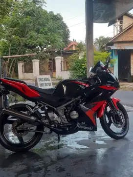 Ninja RR 2014 standar