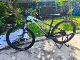 Sepeda Polygon xtrada 5 size S