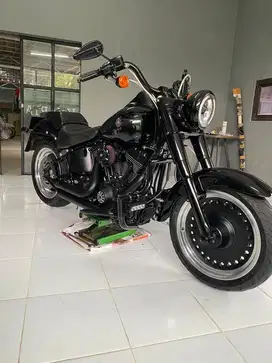 Fatboy 2011 ,sportster,roadking