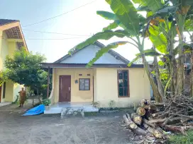 Rumah Kontrakan 3 Kamar (Tahunan)