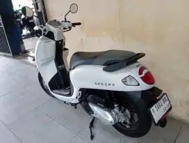 KM 2000 HONDA SCOOPY PRESTIGE 2025 NEW MODEL LIKE NEW