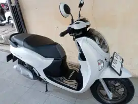 KM 2000 HONDA SCOOPY PRESTIGE 2025 NEW MODEL LIKE NEW