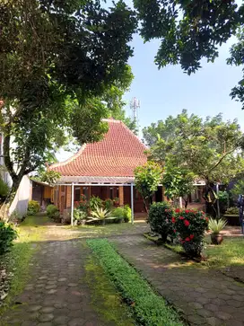 Rumah Etnik Halaman Luas dekat Jalan Damai