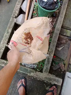 Jual kulit singkong