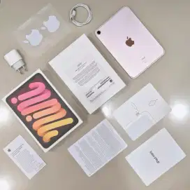 ipad Mini 6 256GB Wifi Celluler 5G LTE Like New iBox