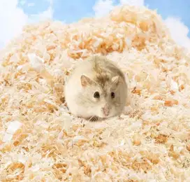 Serbuk kayu alas kandang hamster