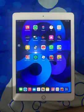 ipad air 2 32gb wifi + cell