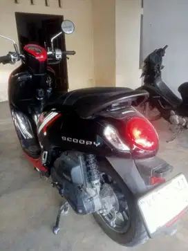 Honda scoopy 2024