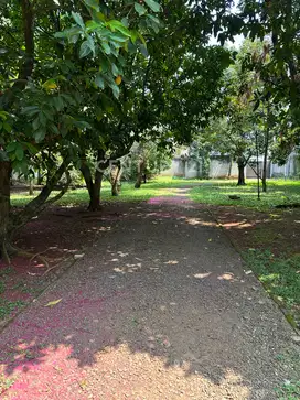 Tanah Luas Ada Rumah Singgah Dan Kolam Renang Di Serpong S8718