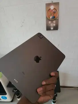 IPAD PRO GEN2 IBOX 128GB TUKER TMBH BT