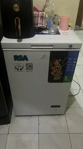 Freezer RSA 100L