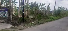 DISEWAKAN TEGALAN LAHAN KEBUN LUAS TANPA RIBET