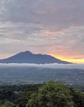 Tanah untuk investasi kebun villa sangat strategis view lepas gunung
