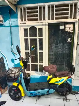 Di jual selis kenari