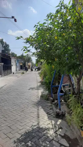 Dijual Rumah Jln Manukan Indah