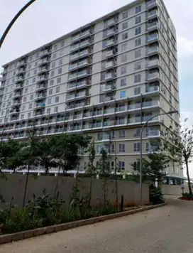 Apartemen Paradise Mansion Tower 2 (Studio)