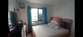Apartment Palm Mansion - Hoek (2 BR)