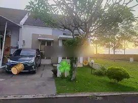 Rumah 1 Lantai Bagus Rapi