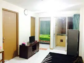 Apartment Palm Mansion (2 BR)