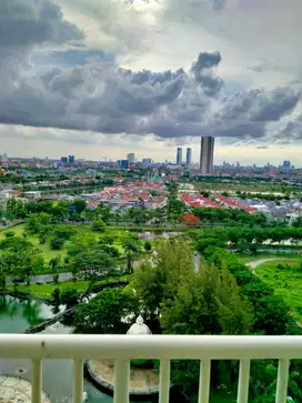 For Rent Apartment EDUCITY  Tower Stanford Lt 17