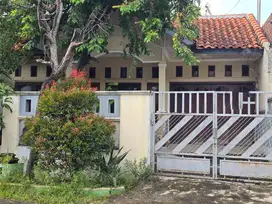 Dijual Rumah Lokasi Strategis di Jl. Singosari Semarang