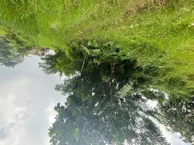 Tanah SHM Siap Bangun Cocok Bangun Rukos