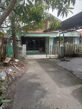 Rumah Kost 2 Lantai Papan