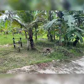Super Strategic Land in Saba