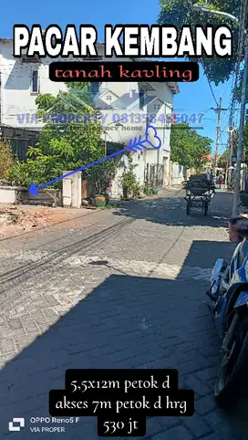PACAR KEMBANG TANAH KAVLING