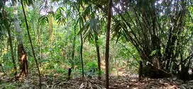 jual tanah di Ciseeng Bogor barat