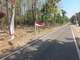 DIJUAL TANAH PEKARANGAN MANGKU JALAN DPU BONUS BANYAK POHON JATI