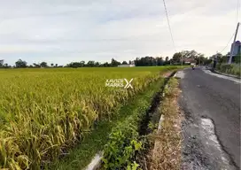 Tanah strategis kanigoro blitar