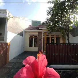 RUMAH DENGAN LT 72 JUAL MURAH LOKASI BEKASI TIMUR REGENCY DEKAT TOL