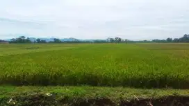 Tanah siap bangun di bendosari sukoharjo
