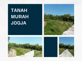Tanah Hunian Murah, Area Kulon Progo, Dekat Exit Tol Jogja-Cilacap