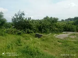 DIPASARKAN TANAH KAVLING PLESUNGAN MOJOSONGO SOLO