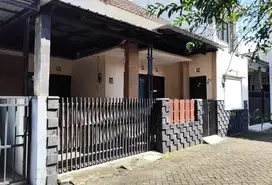 rumah 150 m dari raya cengkeh suhat bagus direnov jadi kos elite