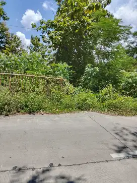 dijual murah tanah zona industri di klaten