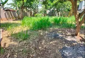 Tanah Tembalang Bulusan Undip