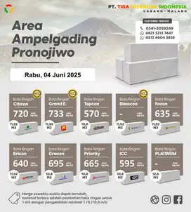 BATA RINGAN AMPELGADING