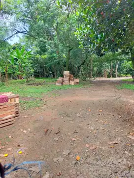 Dijual Lahan Murah Pinggir Jalan Raya Dekat Tol