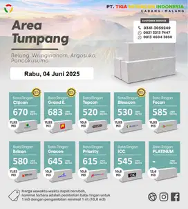 BATA RINGAN TUMPANG