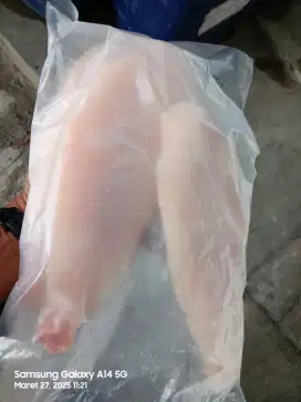 Dory filet frozen.